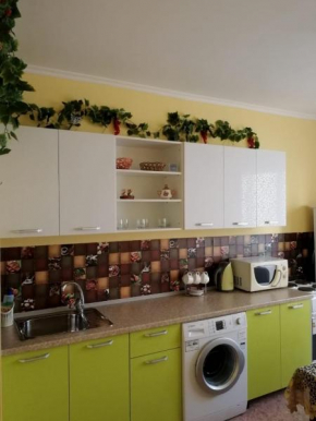Apartment on Lavochkina 31